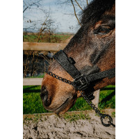Licol Equithème Control Noir