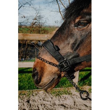 Licol Equithème Control Noir Licol Equithème Control Noir