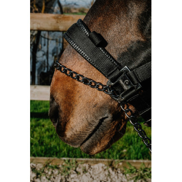 Halster Equithème Control Zwart Halster Equithème Control Zwart