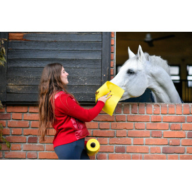 Rouleau chiffon de nettoyage Horsewipe Jaune Rouleau chiffon de nettoyage Horsewipe Jaune