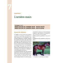 Masser son cheval 2ème édition Edition Vigot