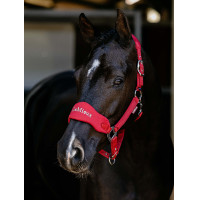 Afneembaar LeMieux Vogue halster Chili Rood