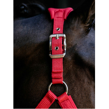 Licol Vogue LeMieux détachable Chili Rouge