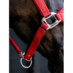 Licol Vogue LeMieux détachable Chili Rouge