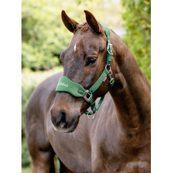 Licol Vogue LeMieux détachable Vert hunter Licol Vogue LeMieux détachable Vert hunter
