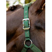 Licol Vogue LeMieux détachable Vert hunter