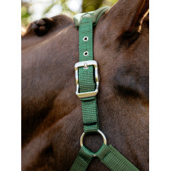 Licol Vogue LeMieux détachable Vert hunter Licol Vogue LeMieux détachable Vert hunter