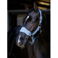 Afneembaar LeMieux Vogue halster Chili Rood