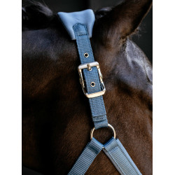 Licol Vogue LeMieux détachable Ice blue Bleu Licol Vogue LeMieux détachable Ice blue Bleu