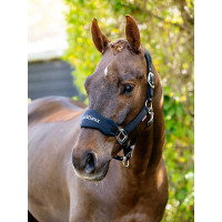 Afneembaar LeMieux Vogue halster Chili Rood