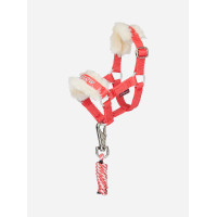 Longe en halster Toy Pony Harlow Coral Crush Harlow koraalverplettering Rood