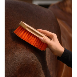 Waldhausen paardenhaarbosstel Oranje Blauw
