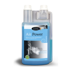 Air Power Horse Master
