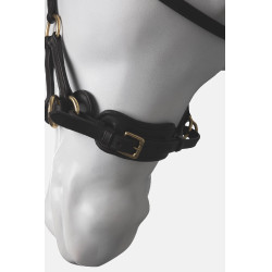 Side Pull Horze Lyon Marron
