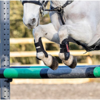 LeMieux Junior Pro peesbeschermers Zwart