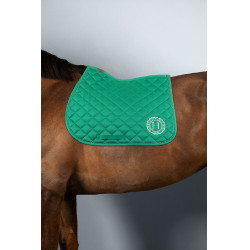 Zadeldoek Sunny en muts Funny Harcour pack Groen / lichtgoud