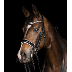 Hoofdstel Waldhausen X-Line Evermore Zwart Hoofdstel Waldhausen X-Line Evermore Zwart