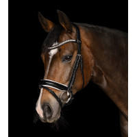 Bridon Evermore X-Line Waldhausen Noir / noir