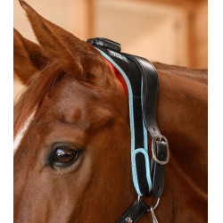 Infrarood FlexPad-halsband Waldhausen Health + Care Zwart