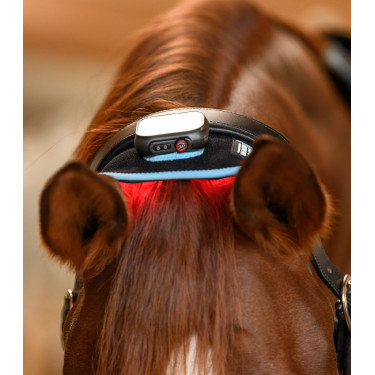 Infrarood FlexPad-halsband Waldhausen Health + Care Zwart