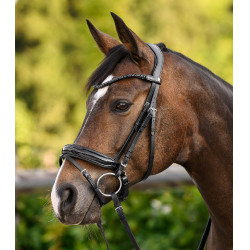 Frontal Shine X-Line Waldhausen noir Frontal Shine X-Line Waldhausen noir