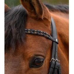 Frontal Waldhausen X-Line Braided Noir