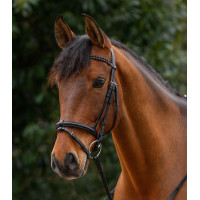 Frontal Waldhausen X-Line Braided Noir