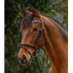 Waldhausen X-Line Polo frontriem bruin Blauw / lichtblauw