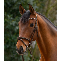 Frontal Waldhausen X-Line Polo marron Rose / beige