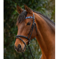 Frontal Waldhausen X-Line Polo noir Bleu / bleu clair Frontal Waldhausen X-Line Polo noir Bleu / bleu clair