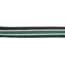 Lederen halster Oxford X-Line Waldhausen zwart Groen