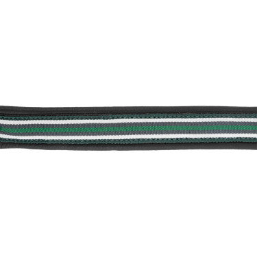 Lederen halster Oxford X-Line Waldhausen zwart Groen