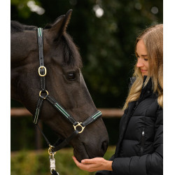 Licol en cuir Oxford X-Line Waldhausen noir Vert