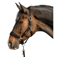 Halter en leadrope Waldhausen Velvet Zwart