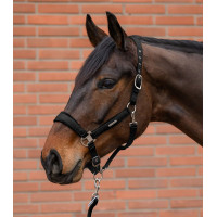 Licol et longe Waldhausen Velvet Noir