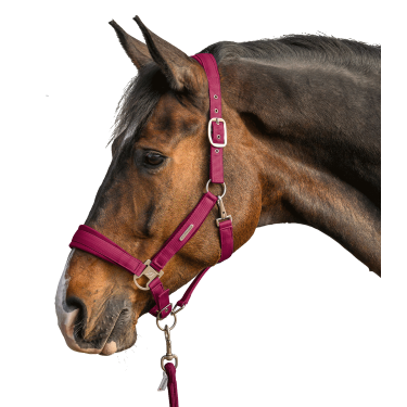 Licol et longe Waldhausen Velvet Grenade Rose