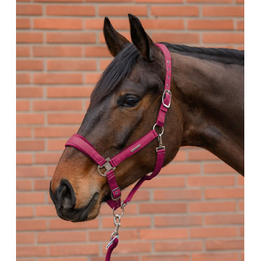 Licol et longe Waldhausen Velvet Grenade Rose