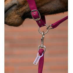 Licol et longe Waldhausen Velvet Grenade Rose