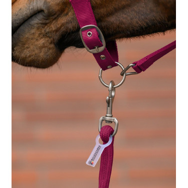 Licol et longe Waldhausen Velvet Grenade Rose