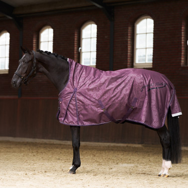 Couverture de paddock Imperial Riding Super-dry 0gr Figue Violet