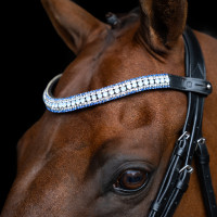 Frontal Imperial Riding Maxima Bleu clair