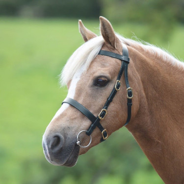 Bridon de présentation lisse Shires Velociti Gara Noir