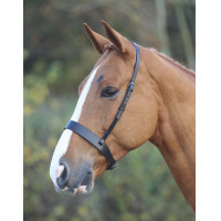 Caveçon Hunter Shires Velociti Gara Caveçon Hunter Shires Velociti Gara