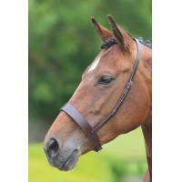 Caveçon Hunter Shires Velociti Gara Caveçon Hunter Shires Velociti Gara