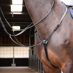 Borsttuig Hunt Weight Shires Velociti Gara Zwart
