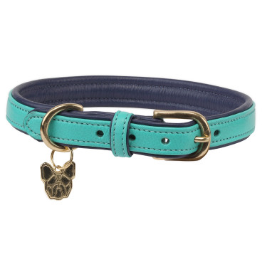 Collier pour chien en cuir matelassé Shires Digby & Fox Aqua Bleu