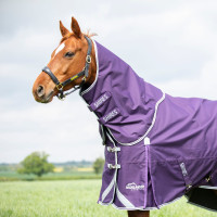 Buitendeken halsstuk Original 100 Shires Highlander Pruim Violet