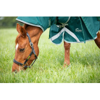 Couvre-cou d'extérieur Original 300 Shires Highlander Vert Couvre-cou d'extérieur Original 300 Shires Highlander Vert