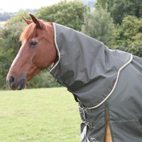 Couvre-cou d'extérieur Plus 50 Shires Highlander Vert Couvre-cou d'extérieur Plus 50 Shires Highlander Vert