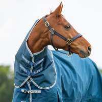 Couvre-cou Original 50 Shires Highlander Océan Bleu Couvre-cou Original 50 Shires Highlander Océan Bleu